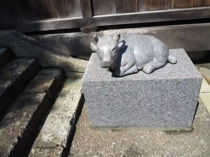 赤羽八幡神社の狛犬
