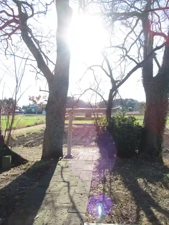 神明神社(千葉県)