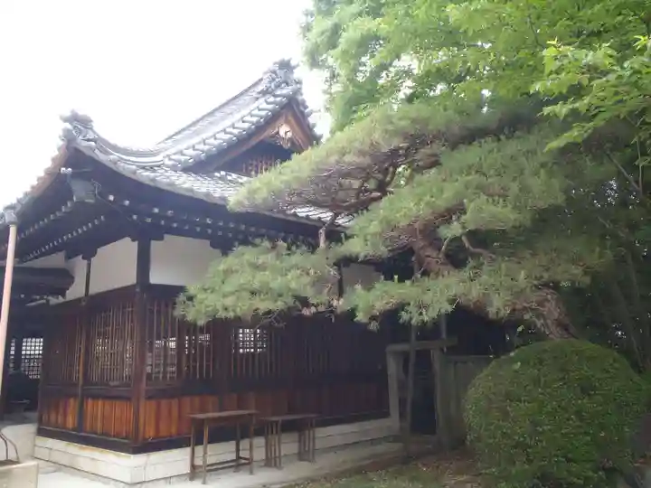 白山神社(岐阜県)