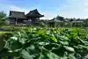 家原寺の自然