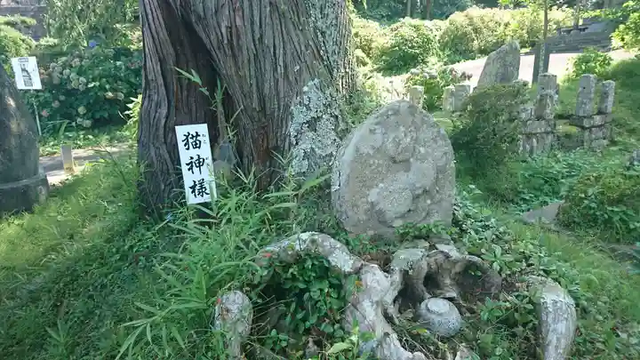 瑞雲寺(宮城県)