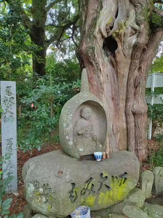 浄瑠璃寺(愛媛県)
