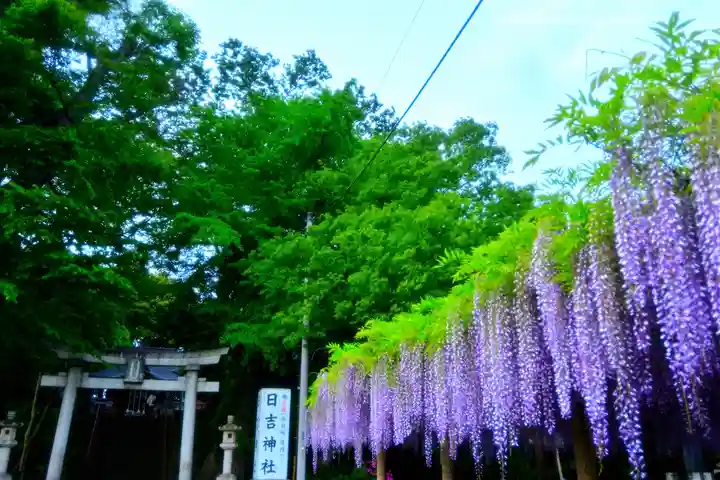 日吉神社(東京都)