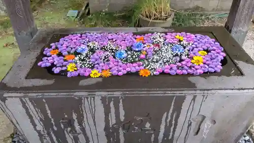 前玉神社の手水