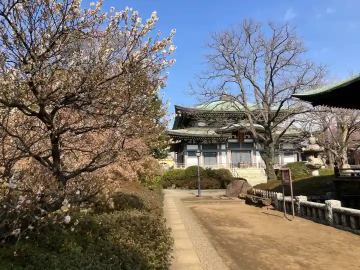 圓融寺の{uncategorized: "未分類", other: "その他", undefined: "問題あり", building: "その他建物", grave: "お墓", sacred_gate: "鳥居", guardian: "狛犬", statue: "像", buddha: "仏像", history: "歴史", nature: "自然", garden: "庭園", animal: "動物", pagoda: "塔", temizu: "手水舎", mountain_gate: "山門・神門", sanctuary: "本殿・本堂", subordinate: "末社・摂社", art: "芸術", scenery: "景色", jizo: "地蔵", ema: "絵馬", goshuin: "御朱印", omikuji: "おみくじ", items: "授与品その他", amulet: "お守り", goshuincho: "御朱印帳", eats: "食事", festival: "お祭り", votive_dance: "神楽", shichigosan: "七五三参", wedding: "結婚式", experience: "体験その他", initially: "初詣", around: "周辺", anti_infection: "感染症対策"}