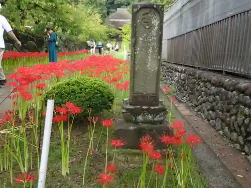 横浜　西方寺の建物その他