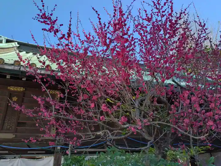 湯島天満宮(東京都)