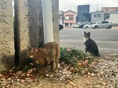 大依羅神社(大阪府)