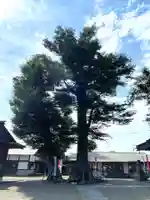 八枝神社の自然