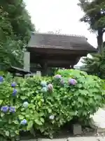 極楽寺(霊鷲山感應院極楽律寺)の本殿・本堂