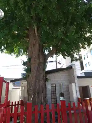 若八幡宮(福岡県)