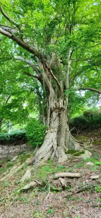 登米神社(宮城県)