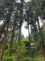 大宮温泉神社(栃木県)