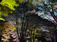 土津神社|こどもと出世の神さまの自然