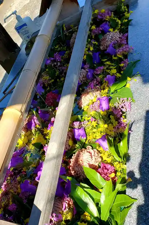 豊景神社の手水舎