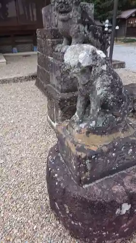 鷲宮神社の狛犬