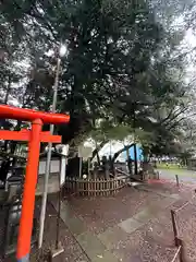 畑子安神社の建物その他