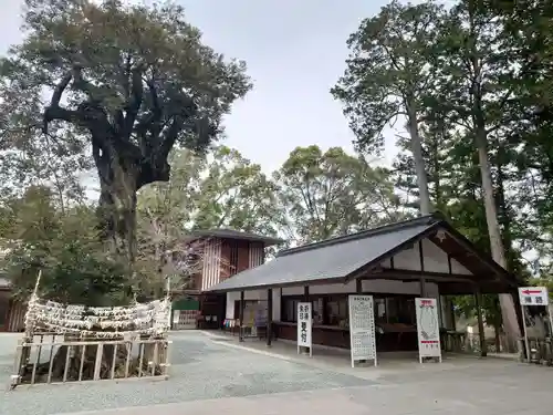 井伊谷宮(静岡県)