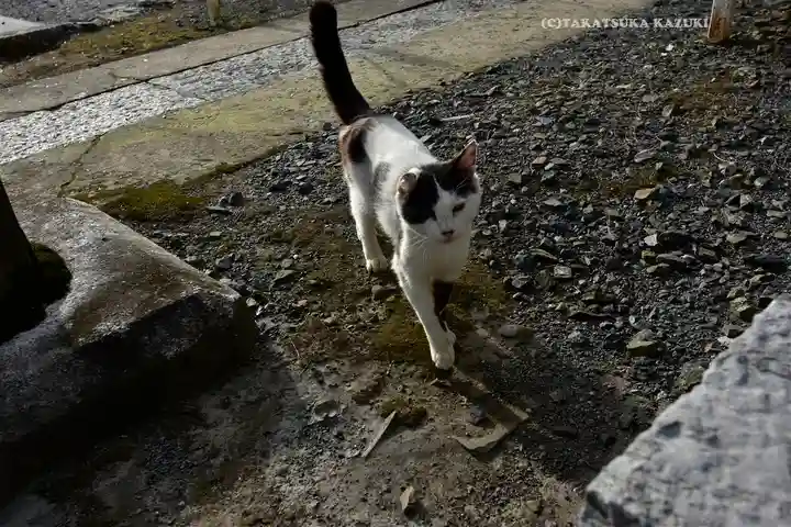 賀茂別雷神社(栃木県)