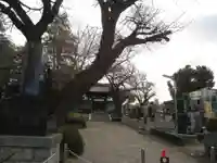 妙光寺(神奈川県)