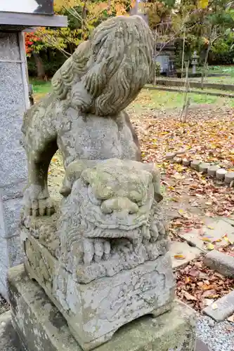 寿都神社の狛犬