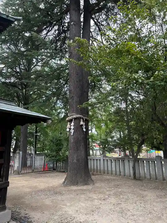 住吉神社(山梨県)