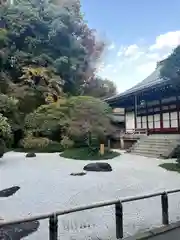 報国寺の庭園