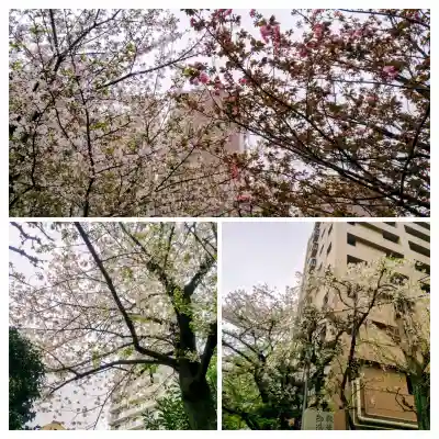 秋葉神社の{uncategorized: "未分類", other: "その他", undefined: "問題あり", building: "その他建物", grave: "お墓", sacred_gate: "鳥居", guardian: "狛犬", statue: "像", buddha: "仏像", history: "歴史", nature: "自然", garden: "庭園", animal: "動物", pagoda: "塔", temizu: "手水舎", mountain_gate: "山門・神門", sanctuary: "本殿・本堂", subordinate: "末社・摂社", art: "芸術", scenery: "景色", jizo: "地蔵", ema: "絵馬", goshuin: "御朱印", omikuji: "おみくじ", items: "授与品その他", amulet: "お守り", goshuincho: "御朱印帳", eats: "食事", festival: "お祭り", votive_dance: "神楽", shichigosan: "七五三参", wedding: "結婚式", experience: "体験その他", initially: "初詣", around: "周辺", anti_infection: "感染症対策"}