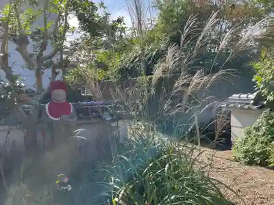 高田寺(京都府)