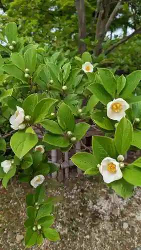 真正極楽寺（真如堂）(京都府)
