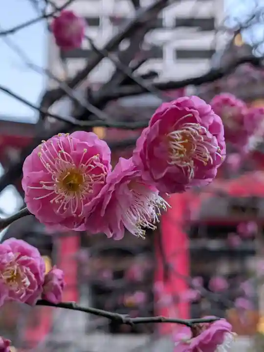 成子天神社(東京都)