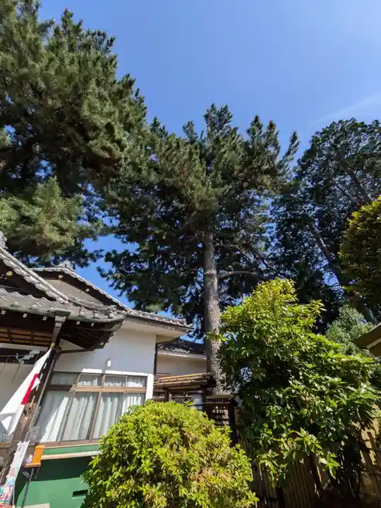 中野沼袋氷川神社(東京都)