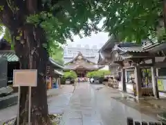 湯島天満宮の建物その他