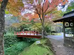 三千院門跡(京都府)