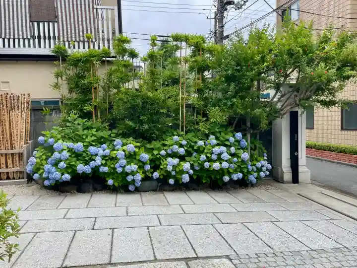 観妙寺(東京都)