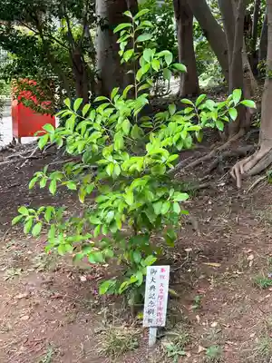 伊勢社(神奈川県)