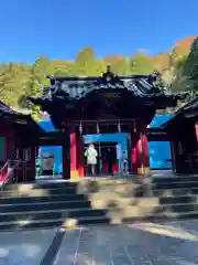 箱根神社の本殿