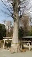 八雲神社(緑町)(栃木県)