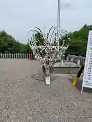 針綱神社(愛知県)