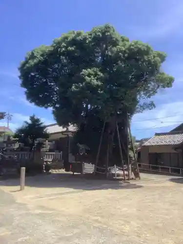 村國真墨田神社の庭園