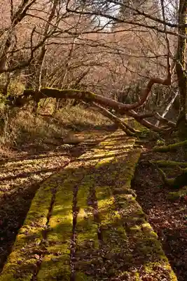 野鹿池神社(徳島県)