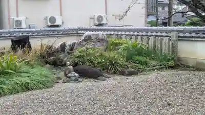 安福寺(京都府)