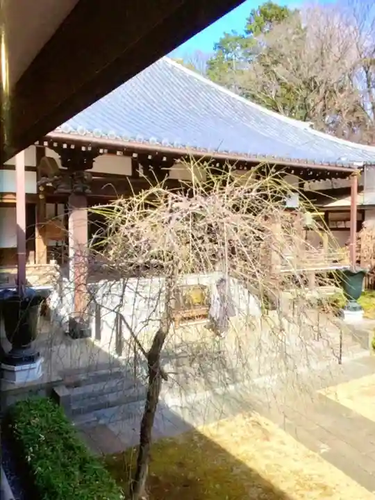 妙法寺(東京都)