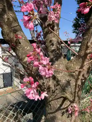 厳島神社(神奈川県)