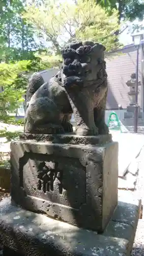 手稲神社の狛犬