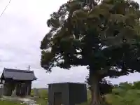 比咩神社の{uncategorized: "未分類", other: "その他", undefined: "問題あり", building: "その他建物", grave: "お墓", sacred_gate: "鳥居", guardian: "狛犬", statue: "像", buddha: "仏像", history: "歴史", nature: "自然", garden: "庭園", animal: "動物", pagoda: "塔", temizu: "手水舎", mountain_gate: "山門・神門", sanctuary: "本殿・本堂", subordinate: "末社・摂社", art: "芸術", scenery: "景色", jizo: "地蔵", ema: "絵馬", goshuin: "御朱印", omikuji: "おみくじ", items: "授与品その他", amulet: "お守り", goshuincho: "御朱印帳", eats: "食事", festival: "お祭り", votive_dance: "神楽", shichigosan: "七五三参", wedding: "結婚式", experience: "体験その他", initially: "初詣", around: "周辺", anti_infection: "感染症対策"}