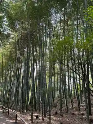 高台寺（高台寿聖禅寺・高臺寺）(京都府)
