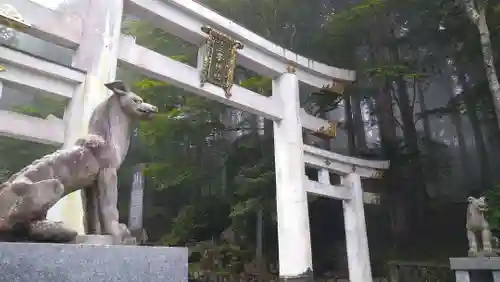 三峯神社の鳥居