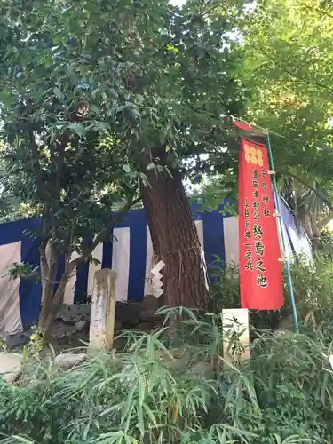 安居神社の自然