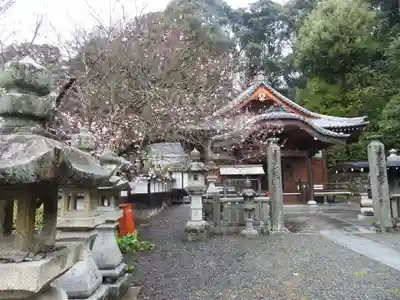 繁多寺(愛媛県)